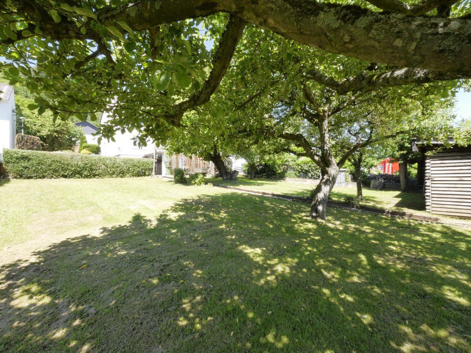 Schatten spendende Obstb�ume Einfamilienhaus Gro�-Bieberau